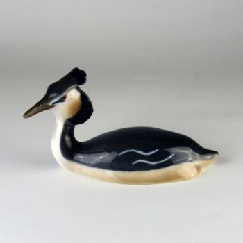 Great crested grebe Great crested grebe