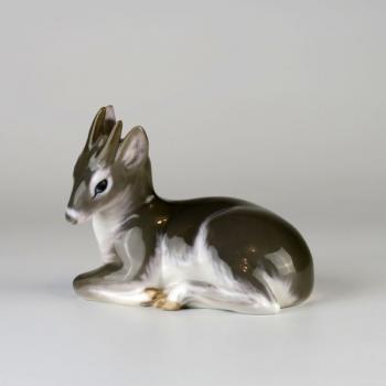 Antelope Kobus Antelope Kobus