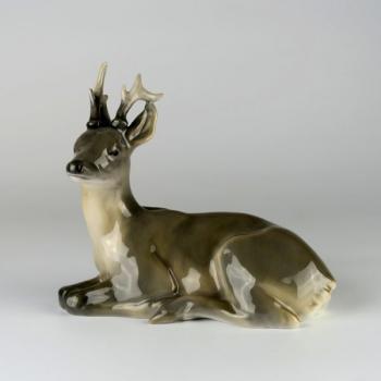 Roe deer Roe deer