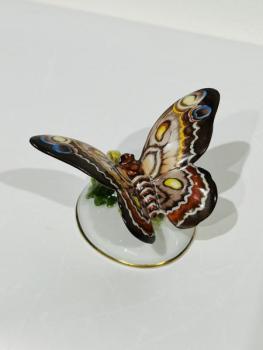 Porcelain Butterfly Figurine - Rosenthal - 1930